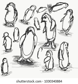 Sketches of penguins.
