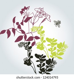 Sketches of plants vector illustration