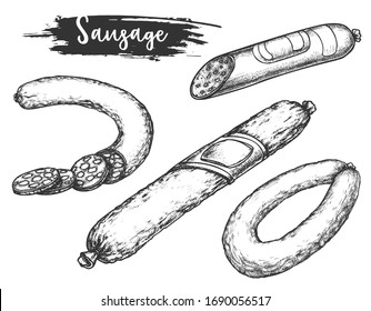 Sketches of polish sausage or kielbasa. Retro drawn meat products for bbq. Hand drawing of greasy meal. Butcher store or shop logo, restaurant sign or butchery poster. Nutrition and food theme