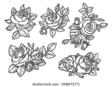 Sketches rose bouquet hand drawn romantic flowers  Set isolated flora for tattoo decoration background  Floral blossom   bloom  Garden   mother  valentine day theme  Biology