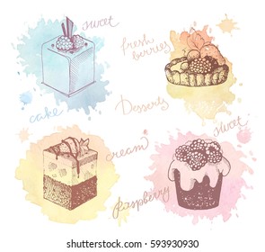 Sketches of scrumptious cupcakes, berry pie and chocolate tiered cake, decorated by butter cream, fresh strawberries and raspberries.