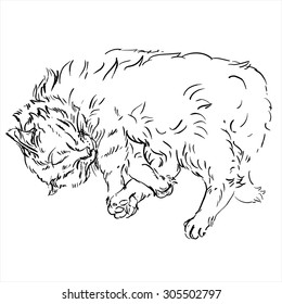sketches of sleeping cats. ink brush hand painting. vector 