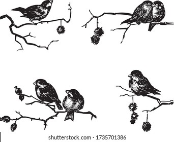 Sketches of sparrows sitting on tree branches on winter day