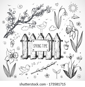 Sketches of spring objects: daffodils, crocus, pussy willow, snowdrops, birds isolated on white. Vector illustration.