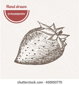Sketches strawberry composition. Hand drawn. Vintage sketch style illustration.