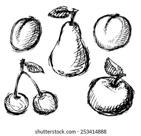 Sketches of stylized fruits set isolated on a white background.