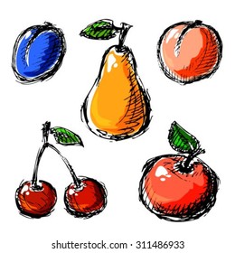 Sketches of stylized fruits set isolated on a white background.