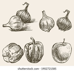 Dessin Legumes Images Stock Photos Vectors Shutterstock