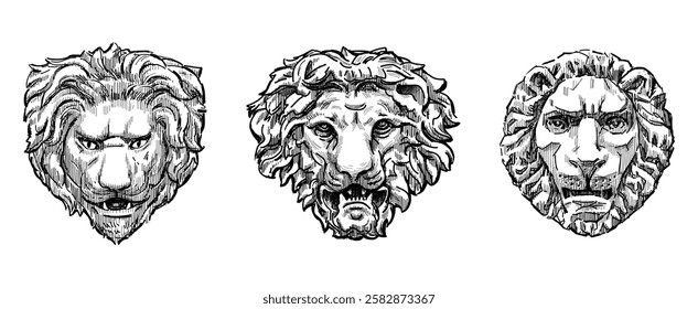 Sketches of three various stone lions masks, sculpture animal faces, three wild cats heads, vintage artistic architectural details, vector hand drawn illustration isolated on white