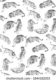 sketches of tigers on a white background