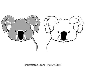 Sketches of two koalas on white background