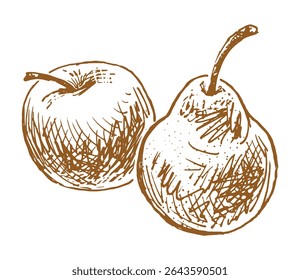Sketches of two ripe apple and pear, fresh fruits, vector outline hand drawn illustration isolated on white