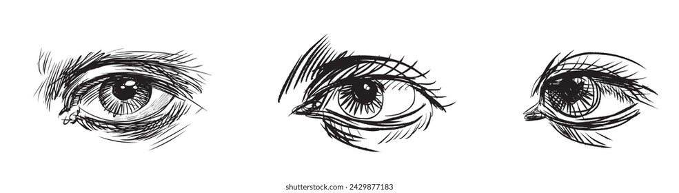 Sketches of various human eyes, vector black and white hand drawing isolated on white