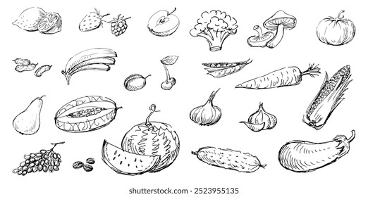 Sketches of various ripe fruits and vegetables, vegetarian food, hand drawn vector illustration