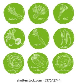 sketches of various vegetables