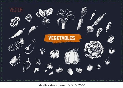 sketches vegetables - cabbage, tomatoes, pumpkins, cucumbers, onions, peppers. Isolated vector. for packaging design, menu and cookbook. chalk on a blackboard