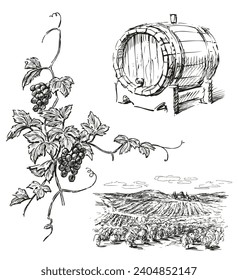 Sketches of wine making theme, vineyard landscape, wooden wine cask, vine branch with ripe grape bunch