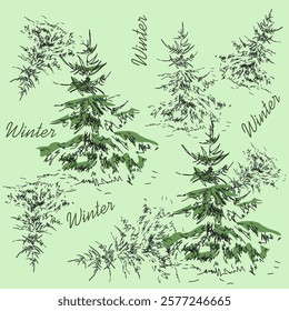 Sketching drawing of a coniferous tree. Winter mood. Easy sketch of a linear image of a spruce tree