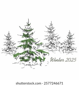 Sketching drawing of a coniferous tree. Winter mood. Easy sketch of a linear image of a spruce tree