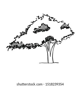 Sketching Hand drawn tree architectural Style vector eps10.