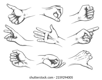 Sketching hand movements. Arms actions vintage vectors, movement sketchs, palms dynamics isolated retro illustration, manual demonstrations, engraving gesture motion signals