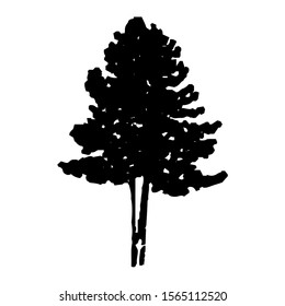 Sketching vector. The beautiful tree. Black and white drawing. Silhouette illustration vector.