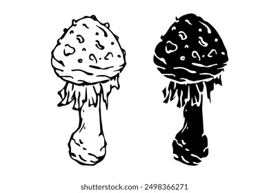 Sketch,silhouette,stamp of forest fly agarics,mushrooms toadstools. Vector graphics.