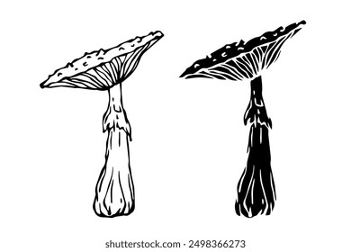 Sketch,silhouette,stamp of forest fly agarics,mushrooms toadstools. Vector graphics.