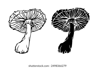 Sketch,silhouette,stamp of forest fly agarics,mushrooms toadstools. Vector graphics.