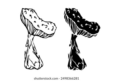 Sketch,silhouette,stamp of forest fly agarics,mushrooms toadstools. Vector graphics.