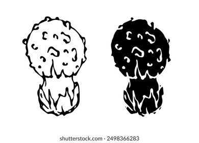 Sketch,silhouette,stamp of forest fly agarics,mushrooms toadstools. Vector graphics.