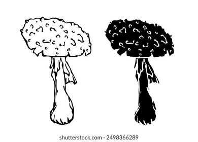 Sketch,silhouette,stamp of forest fly agarics,mushrooms toadstools. Vector graphics.