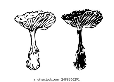 Sketch,silhouette,stamp of forest fly agarics,mushrooms toadstools. Vector graphics.