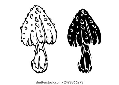 Sketch,silhouette,stamp of forest fly agarics,mushrooms toadstools. Vector graphics.