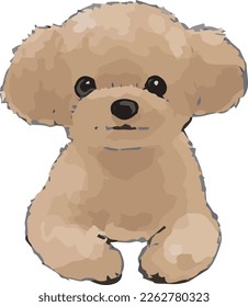 Sketch-style illustration of a toy poodle