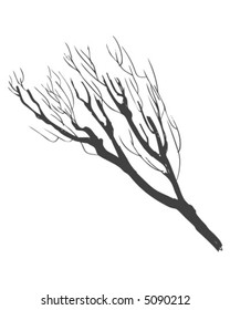 Sketchy Branch