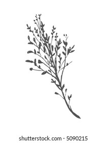 Sketchy Branch
