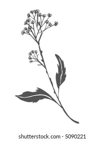 Sketchy Branch and Flowers