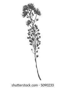 Sketchy Branch and Flowers