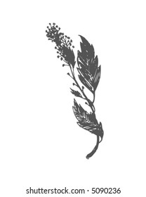 Sketchy Branch and Flowers