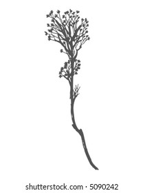 Sketchy Branch and Flowers