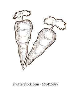 sketchy carrots