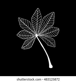 Sketchy of cassava leaves