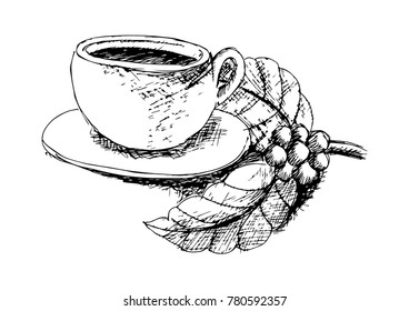 Sketchy of Coffee cup and beans