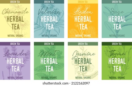 Sketchy colorful herbal teas cards set