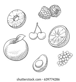 Sketchy design fruit set, Vector illustration