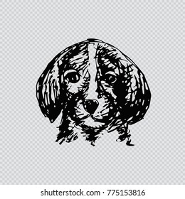 Sketchy of dog
