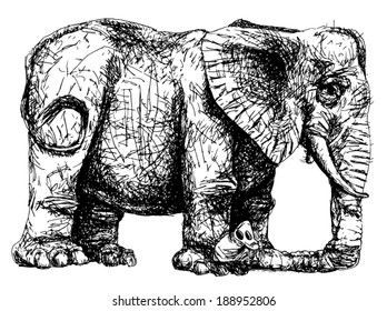 Sketchy elephant illustration, stylized engraving.