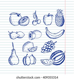 Sketchy fruit set on copybook background. Vector illustration. Free hand drawn.