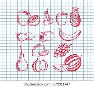 Sketchy fruit set on copybook background. Vector illustration. Free hand drawn.